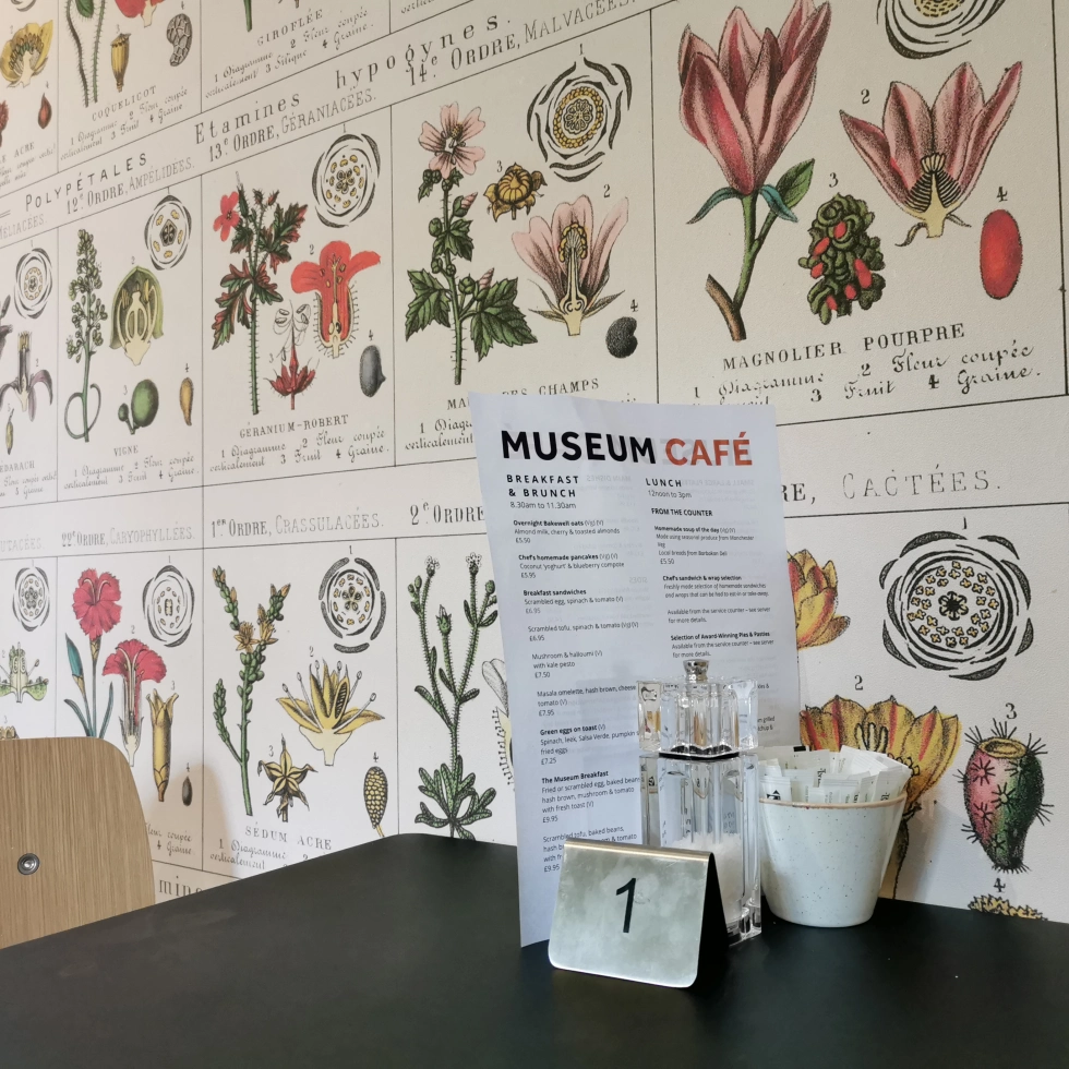 Image of a cafe table top, with a menu, saly and pepper and sugar. Behind it, there is a large botanical print, scaled up to make a busy wallpaper, full of botanical drawings of plants.